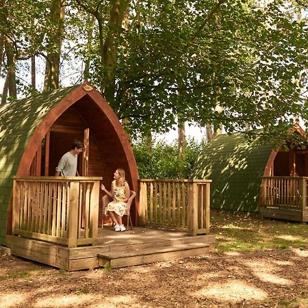 Pinewood - At Port Lympne Reserve 海斯 外观 照片