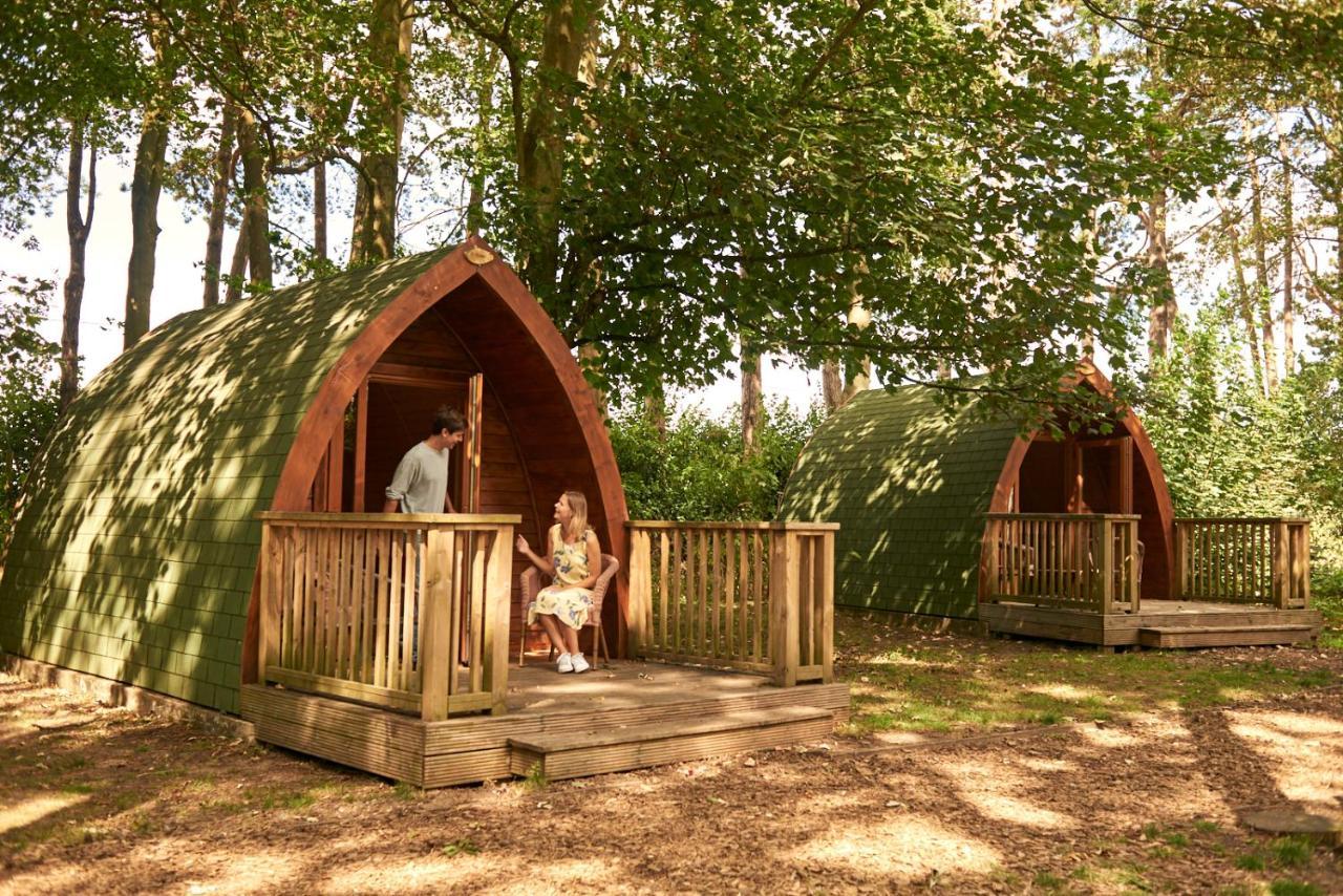 Pinewood - At Port Lympne Reserve 海斯 外观 照片